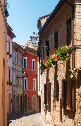 Un viale di Tolentino (Marche)